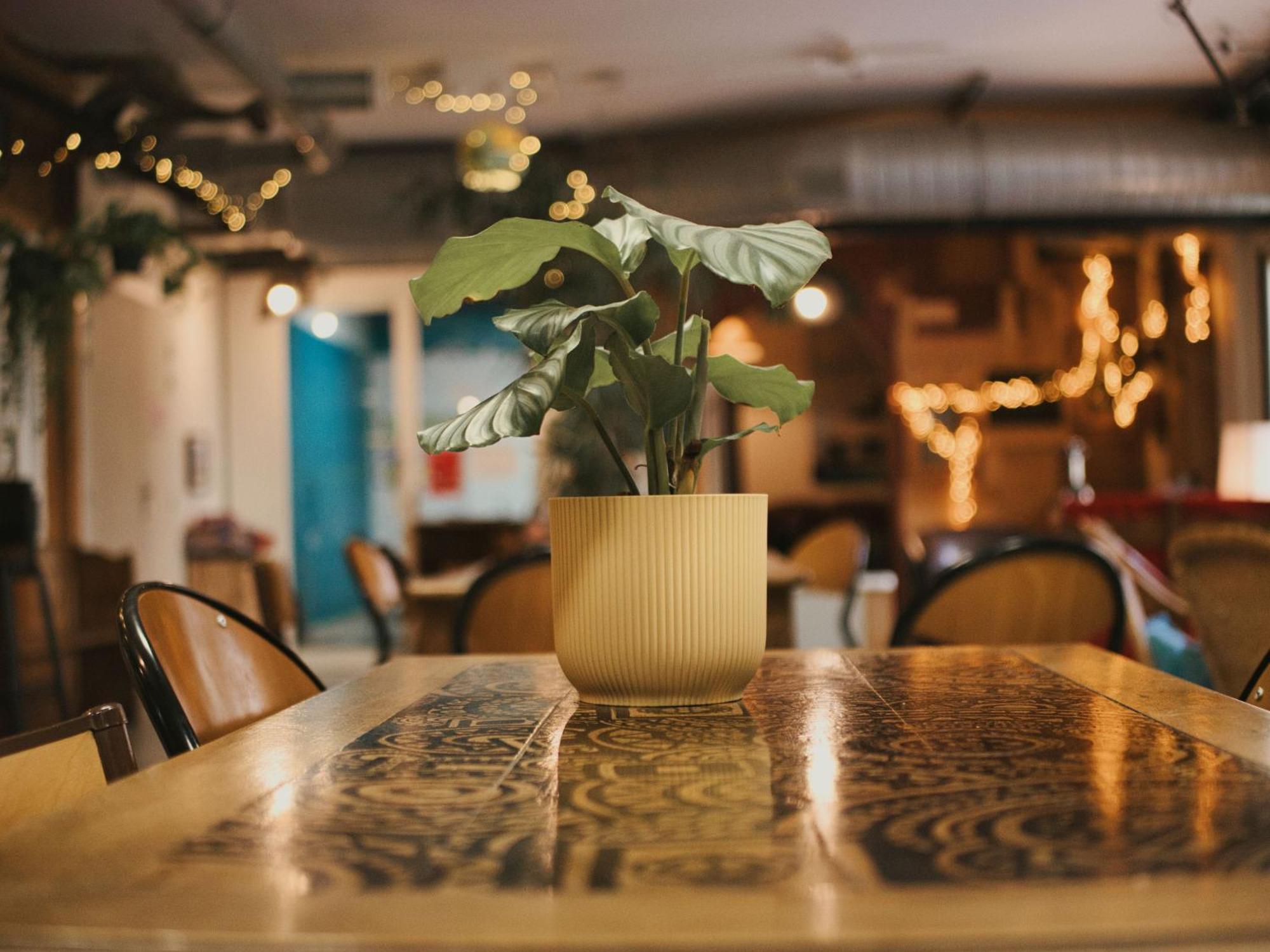 Le Flaneur Guesthouse Lyon Ngoại thất bức ảnh